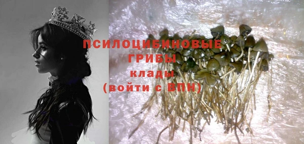 ECSTASY Балахна