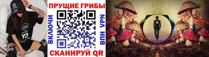 Галлюциногенные грибы Cubensis  даркнет сайт  Бородино 